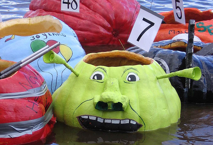 Pumpkin Regatta